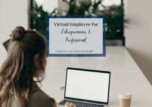Read more about the article Virtual Employee/Assistant For Entrepreneurs & Professionals