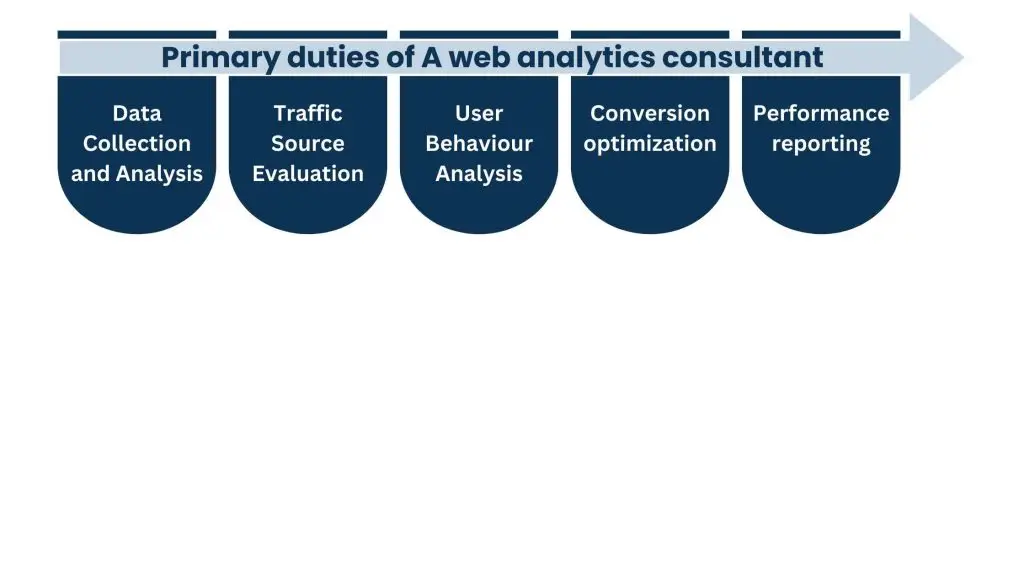 What does a Web Analytics Consultant do