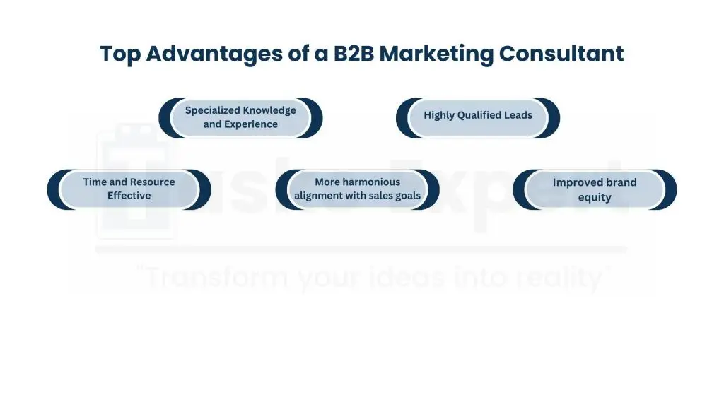 Advantages of a B2B Marketing Consultant