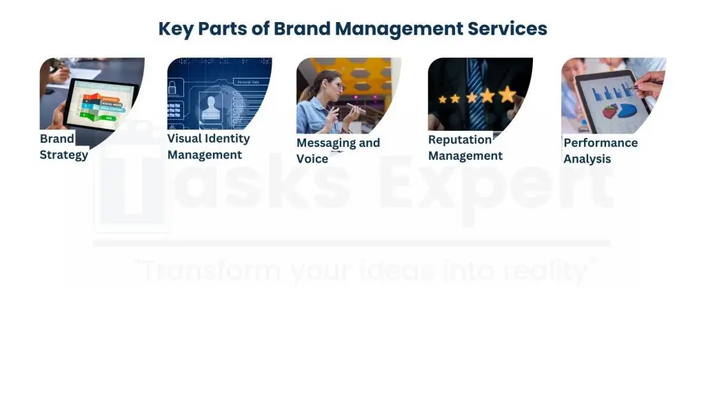 What are Brand Management Services