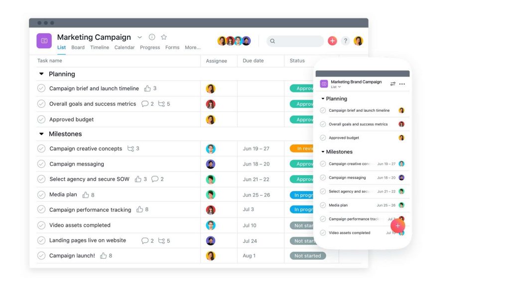 Centralized Financial Task Management with Asana Bookkeeping