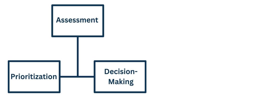 Defining Remote Triaging