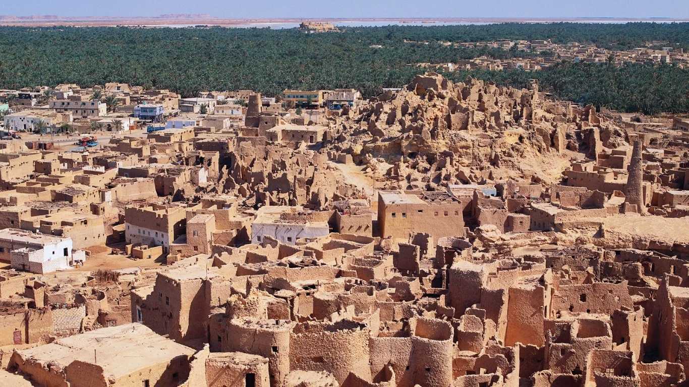 Sabha
