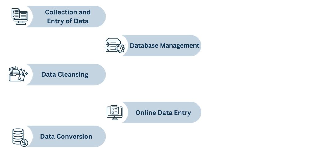 Tasks Covered by Data Entry Services