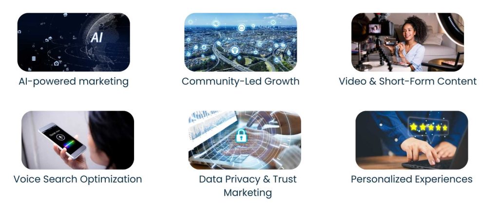 Startup Marketing Consultant: Complete Guide for 2025 - Marketing Trends for Startups in 2025