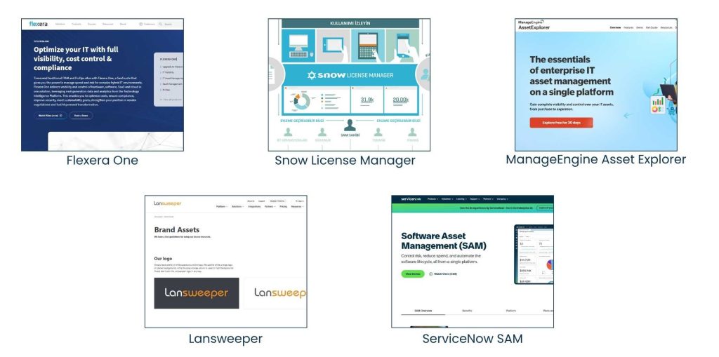 Best Software Asset Management Tools for 2025