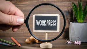 WordPress SEO Consultant_ Boost Your Website’s Ranking the Smart Way